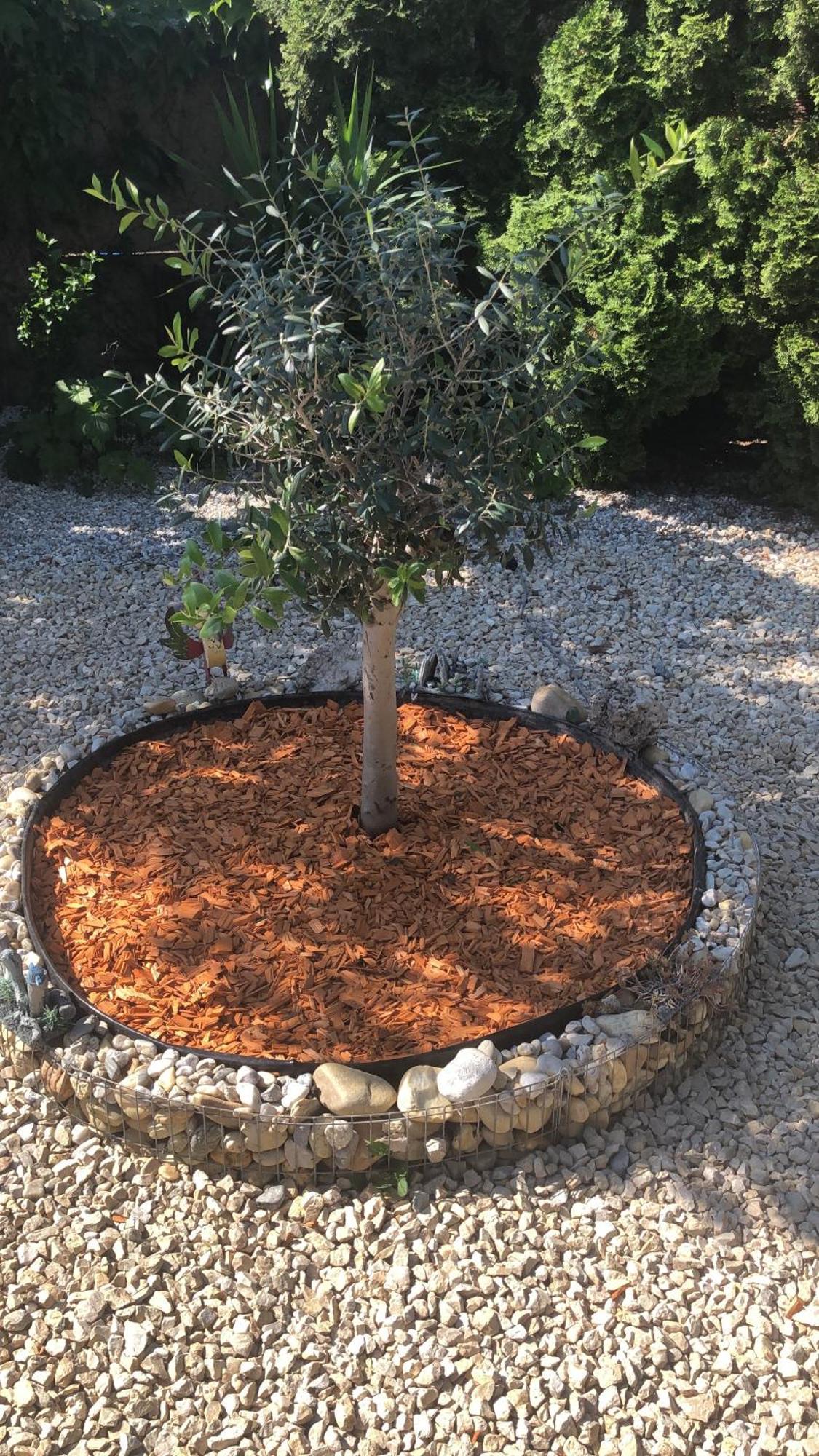 Kwatera prywatna Casa Boebelle Bük